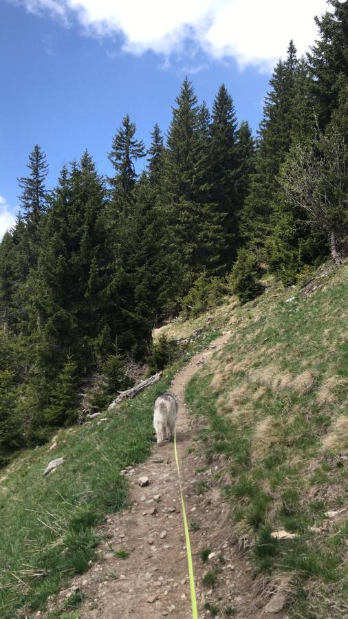 Ferienwohnung Uf Z'Enisch Klosters Esterno foto